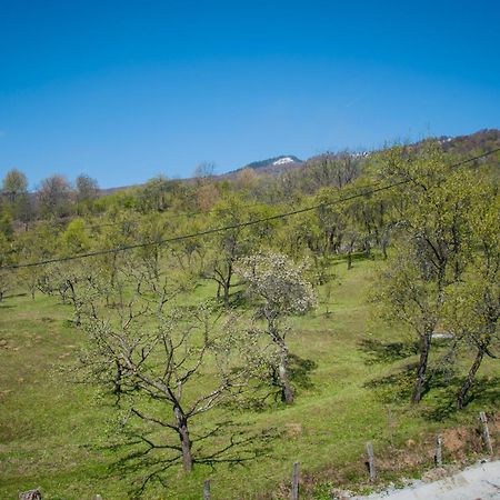 Pensiunea Drumul Voievozilor Arefu Exterior foto