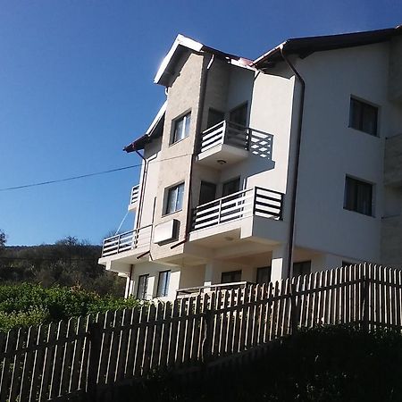 Pensiunea Drumul Voievozilor Arefu Exterior foto