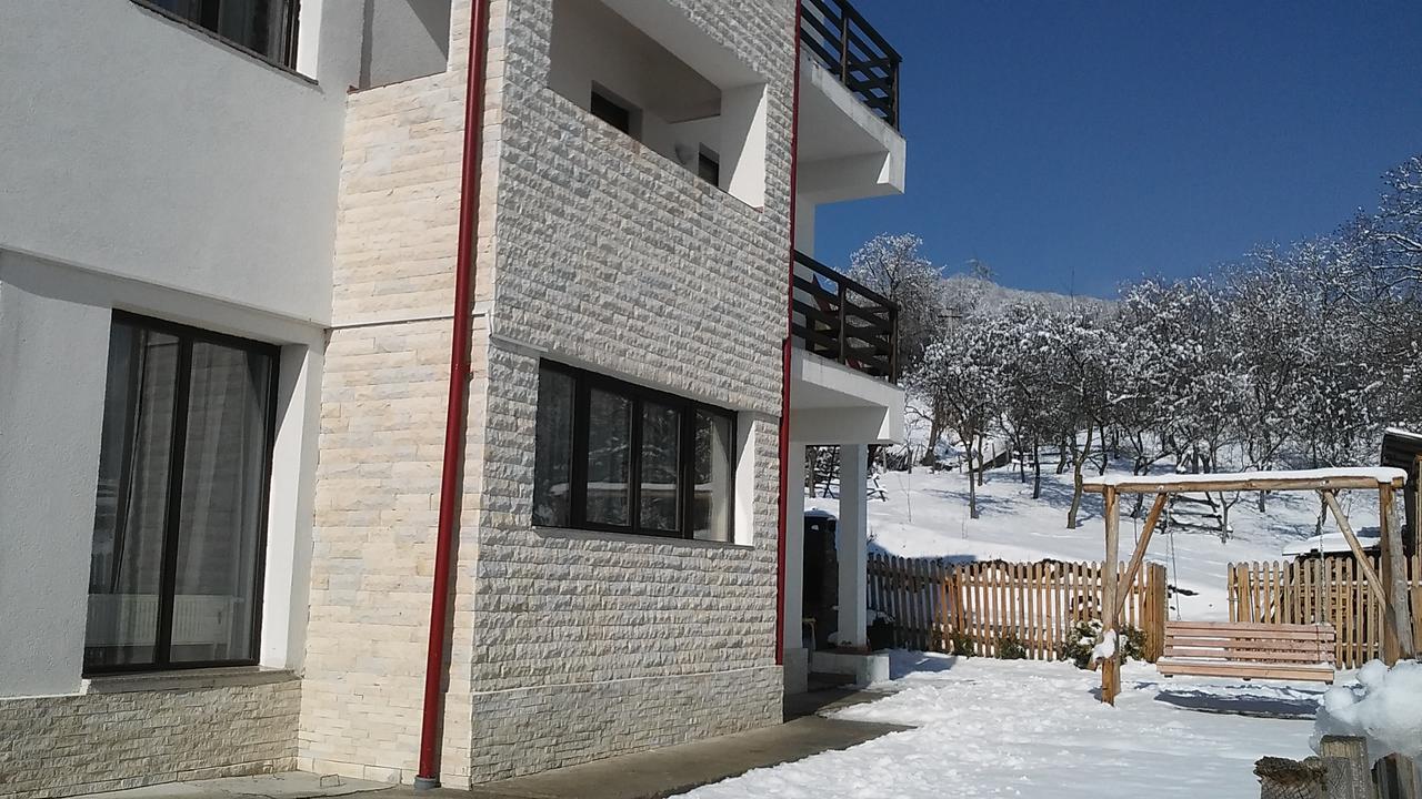 Pensiunea Drumul Voievozilor Arefu Exterior foto